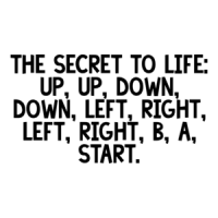 The secret to life: up, up, down, down, left, right, left, right, b, a, start. Shirt