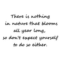 There is nothing in nature that blooms all year long, so don't expect yourself to do so either. Inspirational T-Shirt