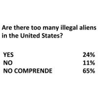 Too Many Illegal Aliens Shirt