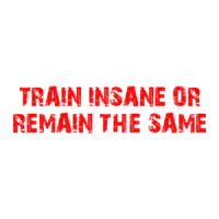 TRAIN INSANE OR REMAIN THE SAME Shirt