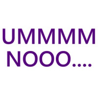 Ummmm Nooo... Sarcastic T-Shirt