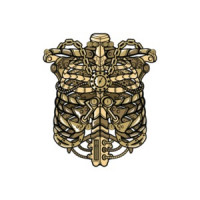 Vintage Steampunk Ribcage T-Shirt