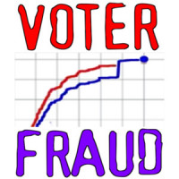 Voter Fraud - Election 2024 T-Shirt