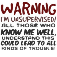 Warning I'm unsupervised - Funny T-Shirt