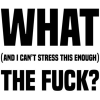 What (and I can't stress this enough) the fuck? Funny T-Shirt
