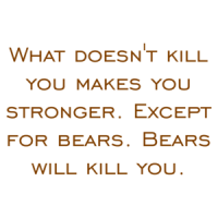 What doesn't kill you makes you stronger. Except for bears. Bears will kill you. Shirt