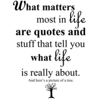What Matters Most In Life Are Quotes And Stuff That Tell You What Life Is Really About.  Shirt