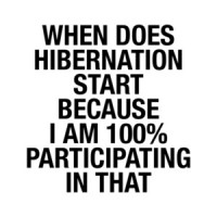 When Does Hibernation Start T-Shirt