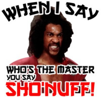 When I say who's the master you say sho'nuff! the last dragon T-Shirt - 80's tshirt
