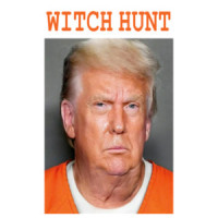 Witch Hunt - Donald Trump 2024 Election T-Shirt