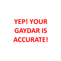 YEP! YOUR GAYDAR IS ACCURATE! Shirt