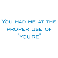 You had me at the proper use of "you're" Shirt