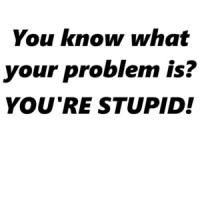 You know what your problem is? YOU'RE STUPID! Shirt