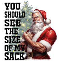 You should see the size of my sack - funny inappropiate offensive Christmas t-shirt