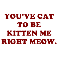 YOU'VE CAT TO BE KITTEN ME RIGHT MEOW. Shirt