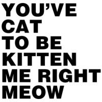 You've Cat To Be Kitten Me Right Meow Shirt