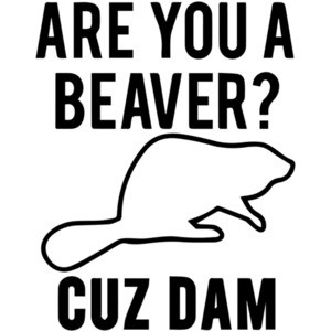Are you a beaver? Cuz Dam T-Shirt