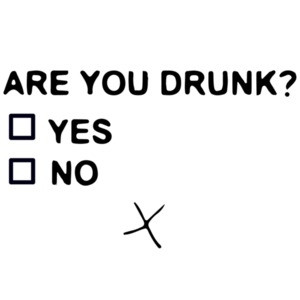 Are you drunk Funny Drinking T-Shirt