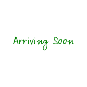 Arriving Soon - Maternity Shirt 