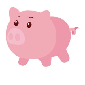 Big fat pig on a t-shirt