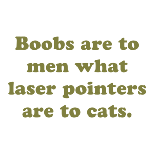 Boobs are to men what laser pointers are to cats. Shirt