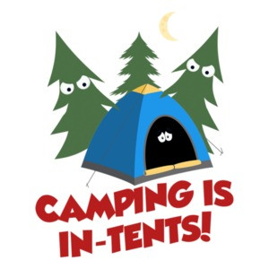 Camping Is In Tents. Funny Pun T-Shirt