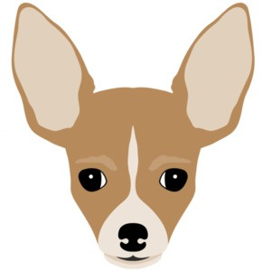 chihuahua head - chihuahua t-shirt