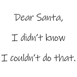 Dear Santa, I didn't know I couldn't do that. Christmas T-Shirt
