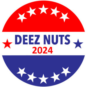 Deez Nuts 2024 - 2024 Election T-Shirt