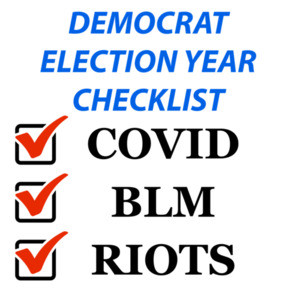 Democrat Election Year Checklist - Funny Political T-Shirt