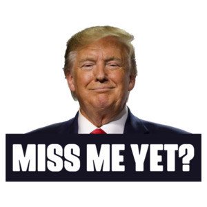 Donald Trump Miss Me Yet