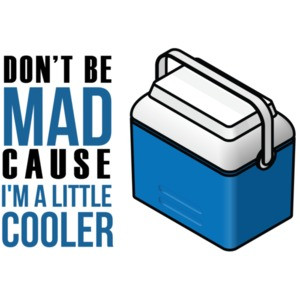 Don't Be Jealous Just Because I'm A Little Cooler T-Shirt