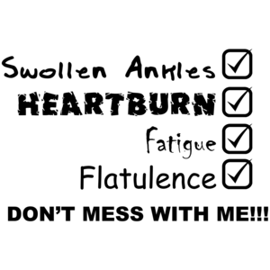 Dont Mess With Me!!! Maternity Shirt