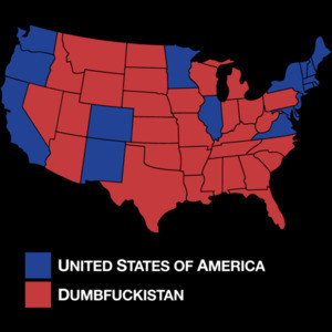 Dumbfuckistan (Liberal Version) T-Shirt