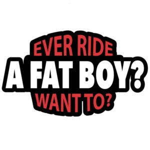 Ever ride a fatboy? want to? Biker T-Shirt