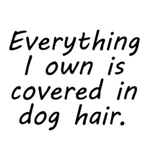 Everything I own is covered in dog hair. Funny dog t-shirt