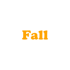 Fall - Maternity Shirt