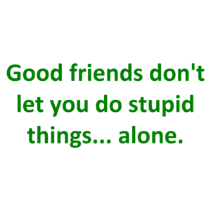 Good friends don't let you do stupid things... alone. Shirt