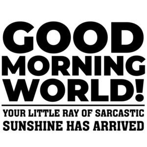 Good morning world! Your little ray of sarcastic sunshine has arrived - funny sarcastic t-shirt
