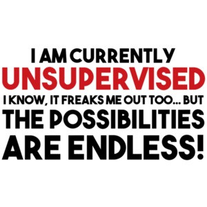 I AM CURRENTLY UNSUPERVISED. I KNOW, IT FREAKS ME OUT TOO. BUT THE POSSIBILITIES ARE ENDLESS! Shirt