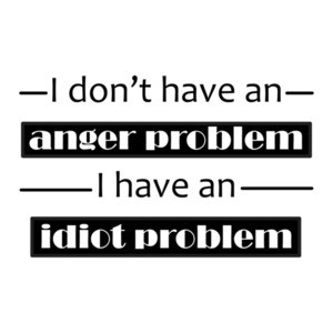 I dont have an anger problem, I have an idiot problem T-Shirt