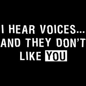 I Hear Voices And They Don't Like You T-shirt