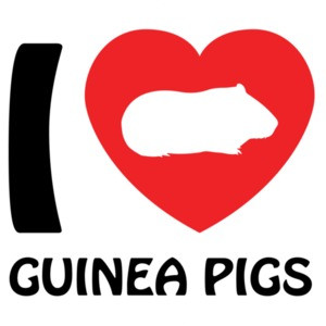 I love guinea pigs - guinea pig t-shirt