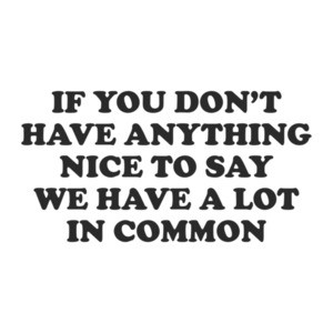 If You Don't Have Anything Nice To Say Then We Have A Lot In Common T-Shirt