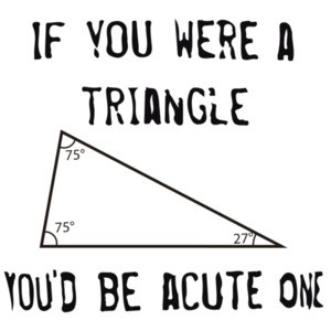 If you were a triangle you'd be acute one. Funny T-Shirt