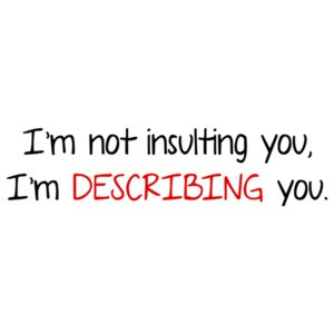 I'm Not Insulting You I'm Describing You T-Shirt
