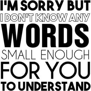 I'm sorry but I don't know any words small enough for you to understand. Funny sarcastic t-shirt