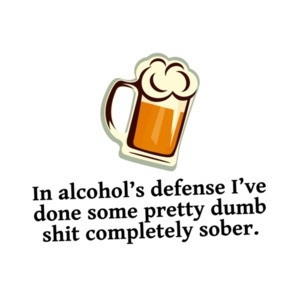 In Alcohols Defense, I've Done Some Pretty Dumb Shit Completely Sober Shirt