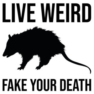 Live Weird - Fake Your Death - funny opossum t-shirt