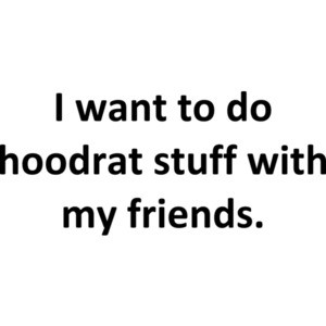 I want to do hoodrat stuff with my friends. Funny Internet  Shirt